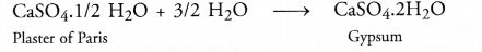 NCERT Solutions for Class 10 Science Chapter 2 Acids Bases and Salts 9